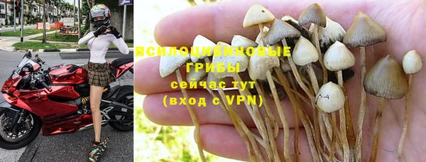амф Бугульма