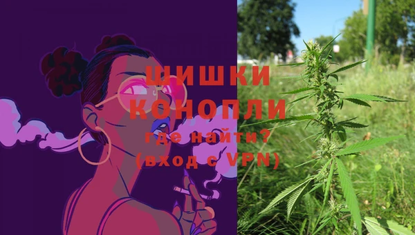 амф Бугульма